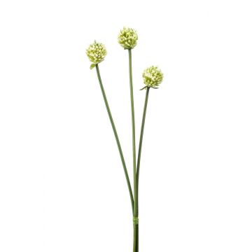 Bouquet d'Alliums artificiels LAMDA, crème-vert, 65cm