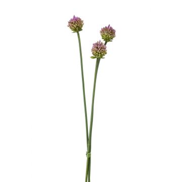 Bouquet d'Alliums artificiels LAMDA, violet-vert, 65cm