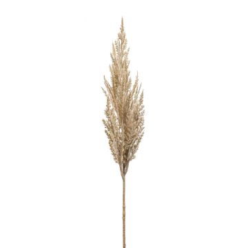 Branche artificielle d'herbe de la pampa paniculée ASARIO, crème, 80cm