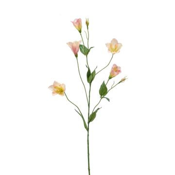 Faux Lisianthus PAZAN, rose-crème, 70cm