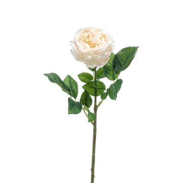 Fleur artificielle Rose-chou CATINCA, crème, 60cm