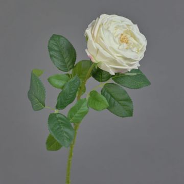 Fleur artificielle Rose-chou CATINCA, crème, 60cm