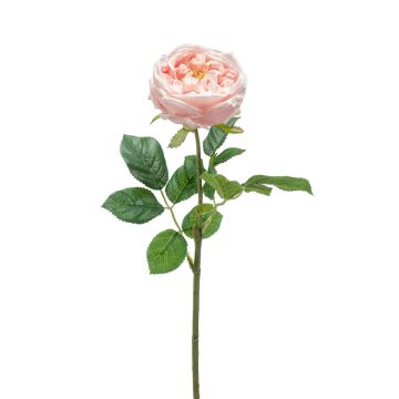 Fleur artificielle Rose-chou CATINCA, rose tendre, 60cm