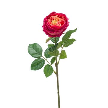 Fleur artificielle Rose-chou CATINCA, fuchsia, 60cm