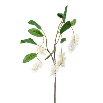 Branche artificielle de chêne soyeux d'Australie ALSHAT, fleurs, crème, 100cm