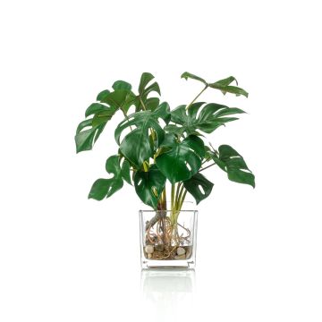Philodendron décoratif Monstera Deliciosa PAVONIS en pot de verre, 45cm