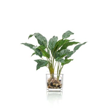 Plante artificielle Aglaonema ADRIK en pot de verre, vert, 45cm