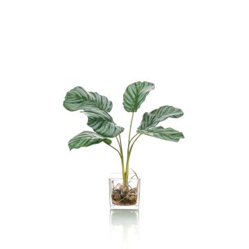 Calathea Orbifolia artificiel AGINA, pot en verre, vert-blanc, 35cm