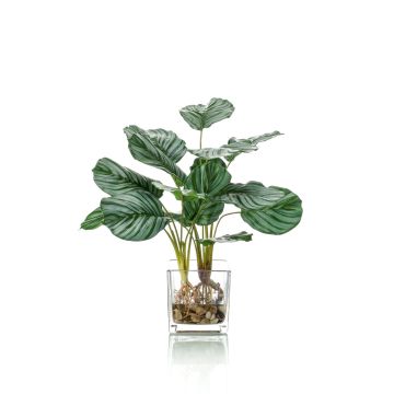 Calathea Orbifolia artificiel AGINA, pot en verre, vert-blanc, 45cm