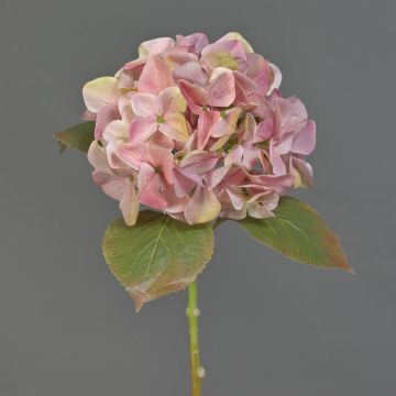 Fleur artificielle Hortensia AMARILDO, rose, 45cm