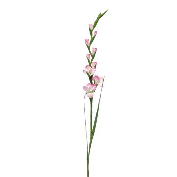 Glaïeul artificiel AJNUR, rose-blanc, 125cm