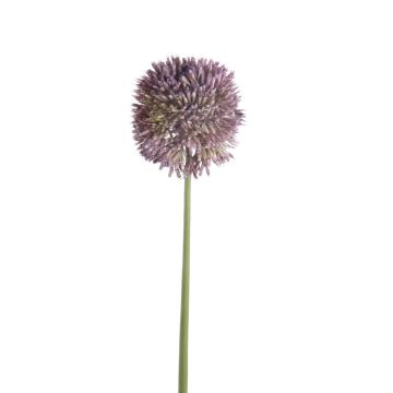 Allium artificiel NATASHA, lilas, 65cm, Ø10cm