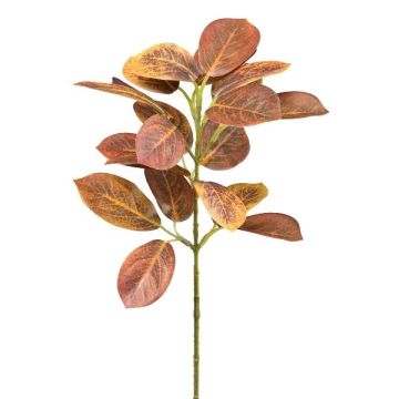 Branche décorative Cotinus coggygria SULKON, brun-rouge, 40cm