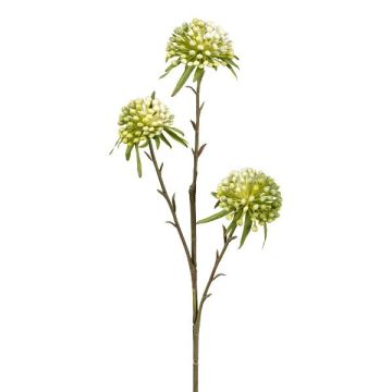 Branche de fleurs artificielles Allium GLORF, vert-blanc, 60cm