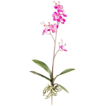 Orchidée Phalaenopsis artificielle MALZA, piquet, racines, cerise, 55cm