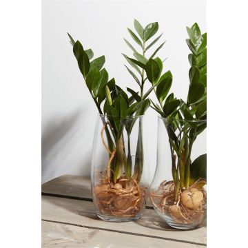 Vase à fleurs HENRY, verre, transparent, 25cm, Ø14cm