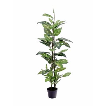 Faux dieffenbachia DANY, sur piquet, vert-blanc, 120cm