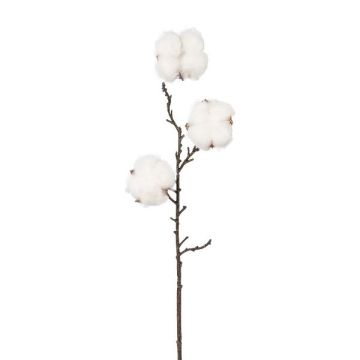 Branche décorative de coton SKLAVAN avec des fruits, blanc, 45cm