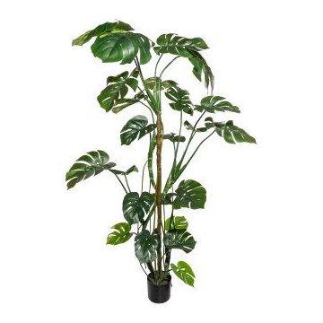 Philodendron Monstera Deliciosa artificiel EIDERA, racines aériennes, 180cm
