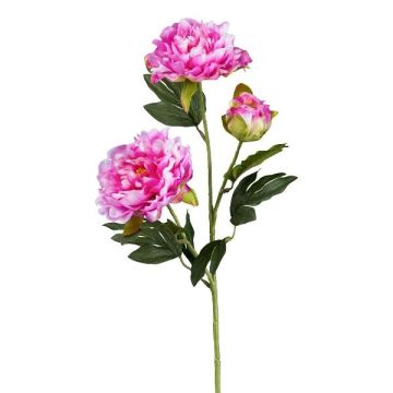 Branche de fleurs artificielles Pivoine SLORMEK, cerise, 65cm Branche de fleurs artificielles Pivoine SLORMEK, cerise, 65cm