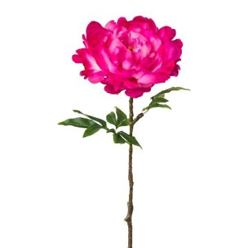 Fleur artificielle Pivoine GLOUT, rose fuchsia, 65cm Fleur artificielle Pivoine GLOUT, rose fuchsia, 65cm