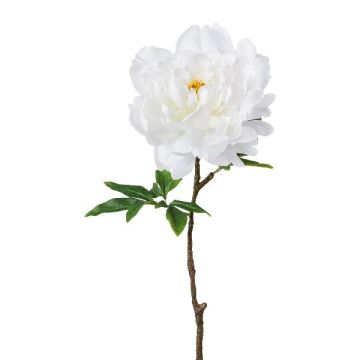 Fleur artificielle Pivoine GLOUT, blanc, 65cm Fleur artificielle Pivoine GLOUT, blanc, 65cm