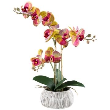 Orchidée Phalaenopsis artificielle BLORVEN, coupe en ciment, racines, jaune-rose fuchsia, 50cm