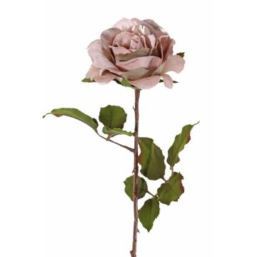 Rose velouté SINDALA, beige-rose, 60cm, Ø12cm