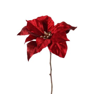 Poinsettia velouté SHEBA, rouge, 55cm, Ø23cm