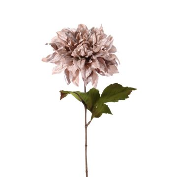 Dahlia velouté MINBU, beige-rose, 60cm, Ø18cm