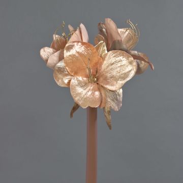 Amaryllis velouté KIRSTY, saumon, 70cm, Ø9cm