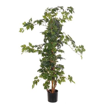 Vigne artificielle Cissus rhombifolia RAMAN, troncs en bois véritable, vert, 115cm