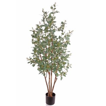 Eucalyptus artificiel NAYAN, troncs naturels, fruits, crossdoor, vert, 165cm