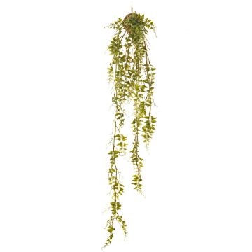 Chute de fougère type Capillaire de Montpellier artificielle ALEXIAN sur motte de mousse, vert, 90cm