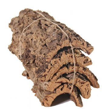 Pièces d'écorce de liège naturelles DIANTHA, 5 pièces, brun, 50x25cm