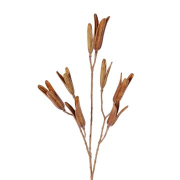 Branche de graines de lys artificielle ELFIDA, brun, 80cm