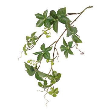Fausse branche de vigne vierge Parthenocissus AMYCUS, fruits, vert, 80cm