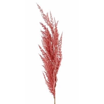 Branche artificielle panicule de l'herbe de la pampa ERATO, rose, 100cm