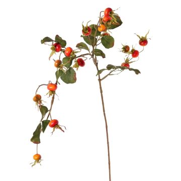 Fausse branche d'églantier FILONAS avec fruits, orange-rouge, 105cm