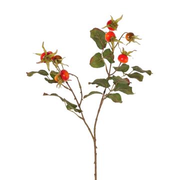 Fausse branche d'églantier FILONAS avec fruits, orange-rouge, 60cm