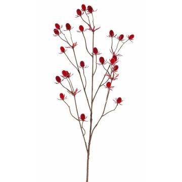 Branche de chardon artificielle (Eryngium) LOUKAS, rouge, 70cm, Ø1,5cm