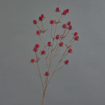 Branche de chardon artificielle (Eryngium) LOUKAS, rouge, 70cm, Ø1,5cm