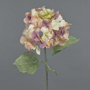Fleur artificielle Hortensia URANIA, vieux rose, 75cm, Ø18cm