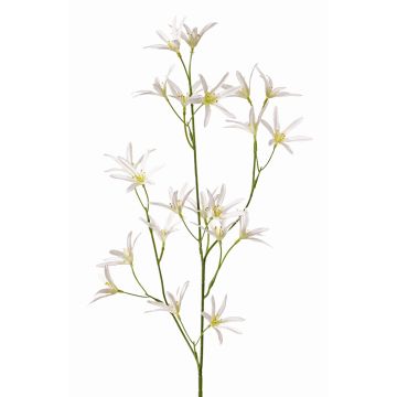 Fleur artificielle Tweedia solanoides PALLAS, blanc, 75cm, Ø5cm