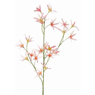 Fleur artificielle Tweedia solanoides PALLAS, rose, 75cm, Ø5cm