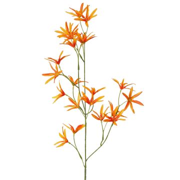 Fleur artificielle Tweedia solanoides PALLAS, orange, 75cm, Ø5cm