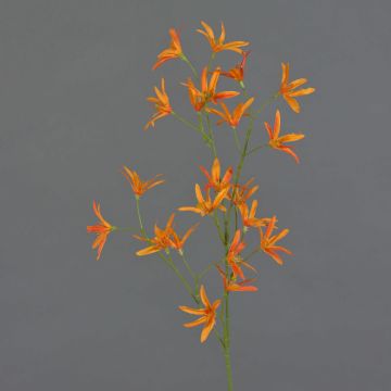 Fleur artificielle Tweedia solanoides PALLAS, orange, 75cm, Ø5cm