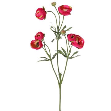 Renoncule artificielle YARIS, rose fuchsia-vert, 65cm, Ø3-4,5cm