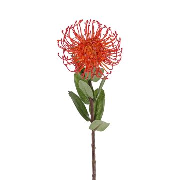 Fleur artificielle Protéa BAILY, orange, 50cm, Ø12cm