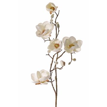 Magnolia en tissu KOSTAS, crème, 80cm, Ø5-8cm